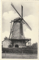 Geel, Stenemolen,, Molen, Moulin, 2 Scans - Geel