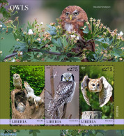 Liberia 2023 Owls, Mint NH, Nature - Birds - Birds Of Prey - Owls - Otros & Sin Clasificación