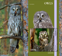 Liberia 2023 Owls, Mint NH, Nature - Birds - Birds Of Prey - Owls - Autres & Non Classés