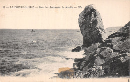 29-LA POINTE DU RAZ BAIE DES TREPASSES-N°5171-G/0029 - La Pointe Du Raz