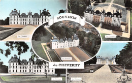 41-CHEVERNY-N°5171-F/0111 - Cheverny