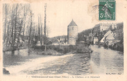18-CHATEAUNEUF SUR CHER-N°5171-F/0049 - Chateauneuf Sur Cher