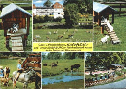 72066233 Reinhardswald Gast Und Pensionshaus Malzfeldt Tierpark Sababurg Wildgeh - Hofgeismar