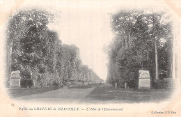 60-CHANTILLY LE CHÂTEAU-N°5172-G/0051 - Chantilly