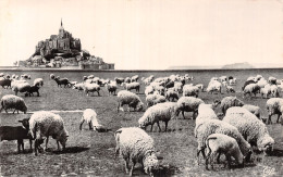 50-LE MONT SAINT MICHEL-N°5173-A/0261 - Le Mont Saint Michel