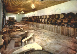 72066077 Llagostera Bodegas Ramiro Llagostera - Other & Unclassified