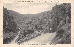 03-GORGES DE CHOUVIGNY-N°5173-B/0239 - Sonstige & Ohne Zuordnung