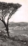 66-BANYULS SUR MER-N°5174-F/0275 - Banyuls Sur Mer