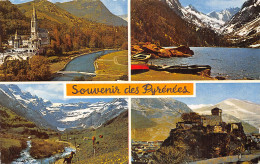 65-LES PYRENEES-N°5174-F/0251 - Other & Unclassified