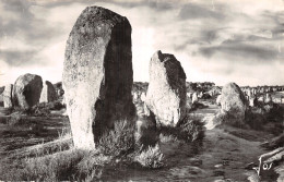 56-CARNAC-N°5174-F/0179 - Carnac