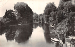 41-MONTOIRE SUR LE LOIR-N°5174-F/0007 - Montoire-sur-le-Loir