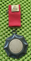 Medaile   :  H.B.P.V. De Rode Haan . Brandweer Den Haag. -  Original Foto  !!  Medallion  Dutch . - Firemen