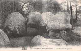 77-FONTAINEBLEAU LA FORET LES MAUSOLEES D APREMONT-N°5174-G/0153 - Fontainebleau