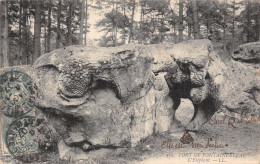 77-FONTAINEBLEAU LA FORET L ELEPHANT-N°5174-G/0147 - Fontainebleau