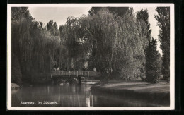 AK Berlin-Spandau, Im Südpark  - Spandau