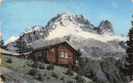 74-PAYS DU MONT BLANC-N°5175-E/0265 - Sonstige & Ohne Zuordnung