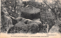 77-FONTAINEBLEAU LA FORET-N°5175-D/0111 - Fontainebleau