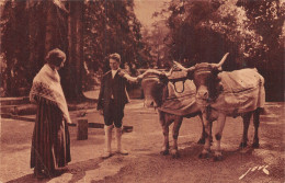 65-LES PYRENEES FOLKLORE COSTUMES-N°5175-G/0063 - Autres & Non Classés