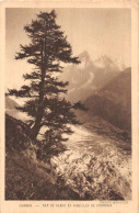 74-CHAMONIX-N°5176-C/0011 - Chamonix-Mont-Blanc