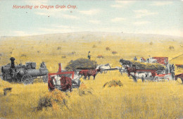 CPA AMERIQUE / HARVESTING AN OREGON GRAIN CROP - Sonstige & Ohne Zuordnung