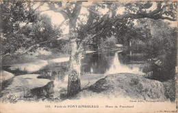 77-FONTAINEBLEAU LA FORET-N°5176-F/0053 - Fontainebleau