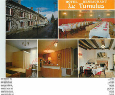 36.  BUZANCAIS .  Hôtel LE TUMULUS .  PELLEVOISIN . - Altri & Non Classificati