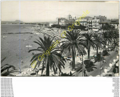 83.  SAINT RAPHAEL .  Vue Prise De L'Hôtel Des Algues . - Saint-Raphaël