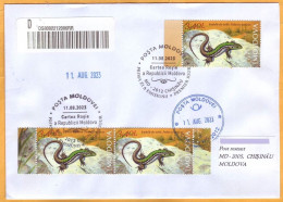 2023  Moldova Used FDC Fauna, Nature „Red Book Of Republic Of Moldova. Reptiles And Batrachians.” - Moldova