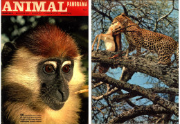 Revue ‘’ANIMAL PANORAMA’’ N° 1 De Novembre-Décembre 1968 - QBH - Animales