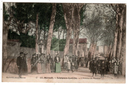 Lesignan La Cèbe , L'avenue De Pezenas - Sonstige & Ohne Zuordnung