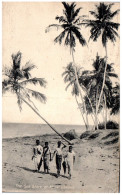 CEYLAN [REF/S11898] - Sri Lanka (Ceylon)