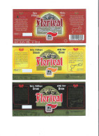 GEBROUWEN EN GEBOTTELD VOOR DELHAIZE - FLORIVAL BLOND - BRUIN - TRIPEL  -  3 BIERETIKETTEN  (BE 171) - Bière