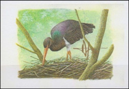 E/A - Épreuve D'artiste** - Cigogne Noire / Zwarte Ooievaar / Schwarzstorch / Black Stork - SIGNÉ/GETEKEND - BUZIN - 1985-.. Pájaros (Buzin)