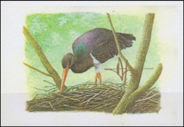 E/A - Épreuve D'artiste** - Cigogne Noire / Zwarte Ooievaar / Schwarzstorch / Black Stork - SIGNÉ/GETEKEND - BUZIN - Storks & Long-legged Wading Birds