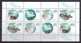 Bulgaria 2019 - Bird Migration Route “Via Pontica”, Mi-Nr. 5405A/08A In Sheet UV Paper, MNH** - Neufs