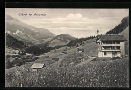 AK Gilbach Bei Adelboden, Häuser Vor Bergkulisse  - Adelboden