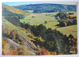 BELGIQUE - Les Ardennes Pittoresques - Vue - Altri & Non Classificati