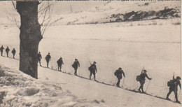Cpa Entrainement Des éclaireurs Skieurs - 1939-45