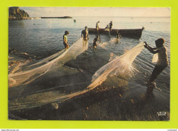 GUADELOUPE N°8059 Scène De Pêche En 1980 Hachette Antilles Pointe à Pitre Pêcheurs Filets - Sonstige & Ohne Zuordnung