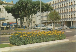 Draguignan - La Place Du Palais - Deux Estafettes Dont Une Bâchée, BMW Cab. - Dauphine - (P) - Draguignan