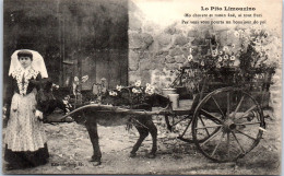 87 TYPES DU LIMOUSIN  [REF/S025501] - Autres & Non Classés