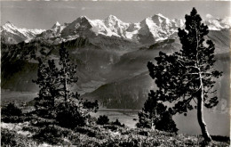 Beatenberg - Niederhorn, Ausblick Gegen Finsteraarhorn - Eiger - Mönch - Jungfrau (3869) * 24. 9. 1958 - Beatenberg