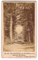 Fotografie G. Jagemann, Eisenach, Ansicht Eisenach, Der Durchblick Nach Der Wartburg Von Der Hohensonne  - Places