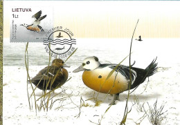 Lithuania (Lietuva) - Maximum Card 2006 :  Steller's Eider -   Polysticta Stelleri - Entenvögel