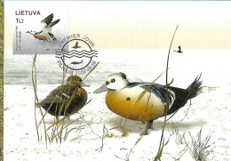 Lithuania (Lietuva) - Maximum Card 2006 :  Steller's Eider -   Polysticta Stelleri - Patos