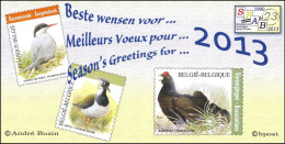 CS/HK USA - Mystamp/Duostamp° - SPAB - Carte De Voeux/Wenskaart/Wunschkarte/Wish Card - Mechelen - 27-12-2012 - BUZIN - 1985-.. Oiseaux (Buzin)