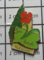 713J Pin's Pins / Beau Et Rare / ADMINISTRATIONS / RIBEMONT LYCEE HORTICOLE - Administraties