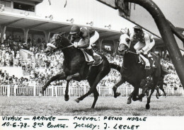 PHOTO DE PRESSE - COURSES  HIPPIQUES - MARSEILLE VIVAUX - 10.06.78 - 2EME - GAGNANT PECHO NOBLE - JOCKEY J.LECLET - Sporten