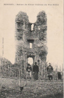 *** 01 ****   MIRIBEL - Ruines Du Vieux Château Du Mas Rillier - Timbrée TTB Couple Et Chien Vignes - Unclassified