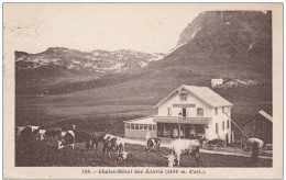 HAUTE SAVOIE CHALET HOTEL DES ARAVIS - Autres & Non Classés